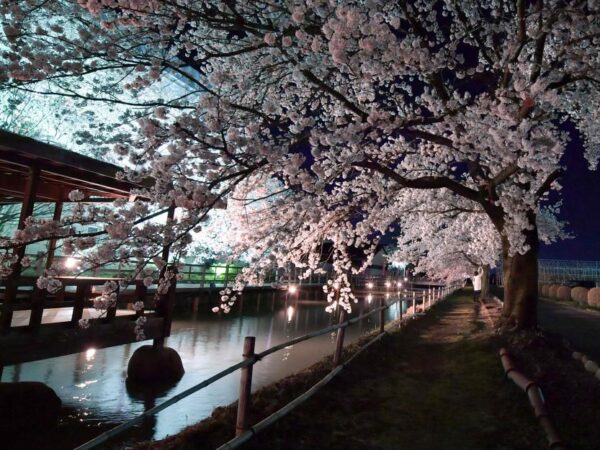 ninozeki_shinsui_park_03